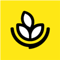 燕麦烘焙绿色版 1.0.4 安卓版