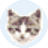 EF File Catalog(文件管理工具)免费版 22.03官方版