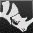 Rhinoceros(犀牛软件)v6.0中文版