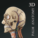 掌上3d解剖app下载安装v2.8.0安卓版