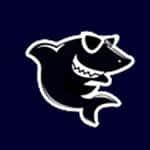 黑鲨装机大师v12.8.50.2030官方版