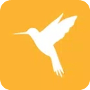 Reqable小黄鸟抓包v3.0.30安卓版