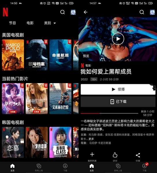 netflix官方app 8.73.0 安卓中文版 netflix官方app 8.73.0 安卓中文版