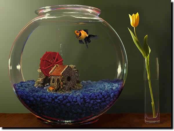 Goldfish Aquarium(海底世界动态屏保)电脑版 2.0 官方最新版