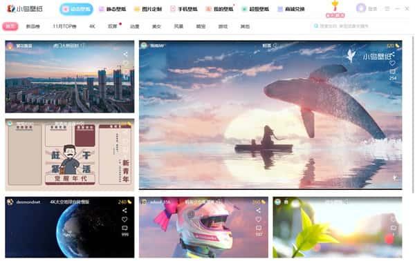 小鸟壁纸电脑版v3.1124.2450.1016官方版 小鸟壁纸电脑版v3.1124.2450.1016官方版