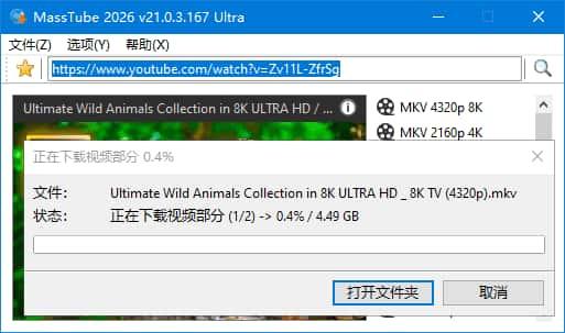 MassTube(YouTube视频下载软件)Ultra v21.0.4.171中文便携版